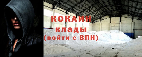 твердый Арсеньев