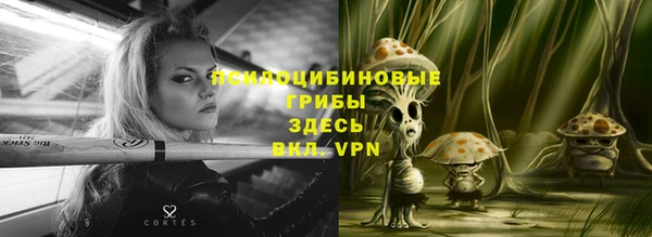 дурь Нягань