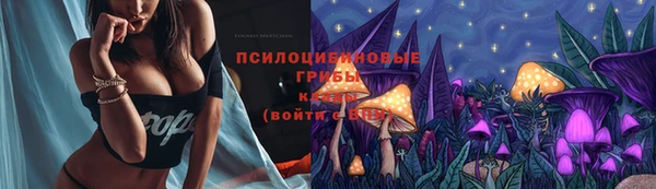 твердый Арсеньев