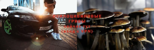 твердый Арсеньев